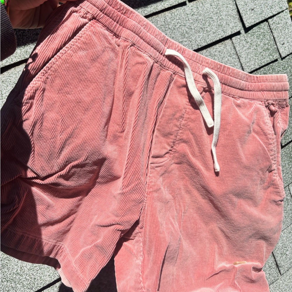 Marine Layer shorts